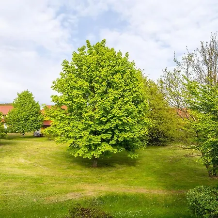 Apartment Rugana - Budget Mit 1 Schlafzimmer A39 *